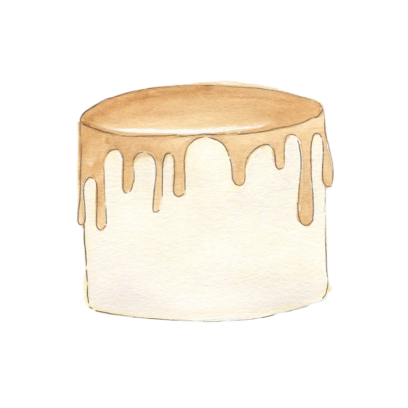 Treat - Salted Caramel Chocolate